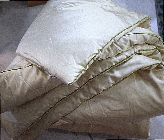 ANN GISH Knot 100% Silk King Comforter Ivory w/ Green piping
