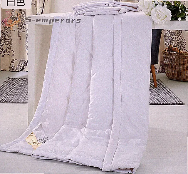 Hot 100% Silk Comforter Mulberry Silk Filled Comforter Silk Duvet Quilt Blanket
