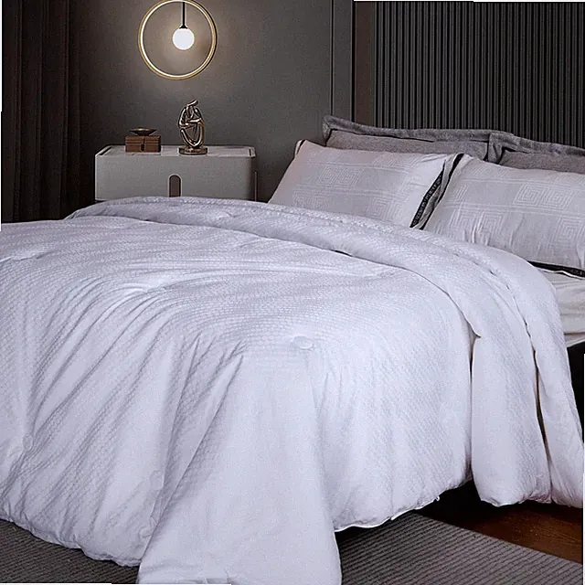 Luxury Silk Queen Comforter - Lightweight, Warm All-Season 400TC Cotton Cover