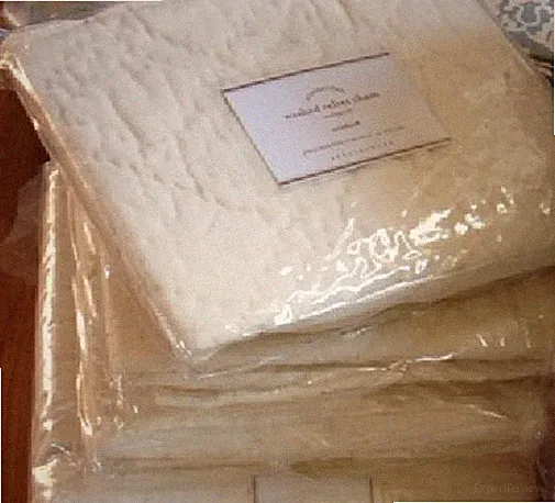 Pottery Barn Washed Velvet Silk Standard Shams Ivory Set 2 Pair New